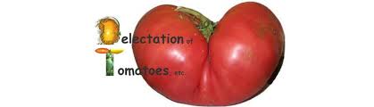 delectation是什么意思