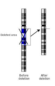 deletion是什么意思