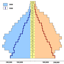 demography是什么意思