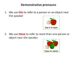 demonstrative是什么意思