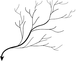 dendritic是什么意思
