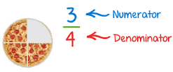 denominator是什么意思
