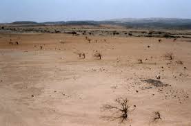 desertification是什么意思