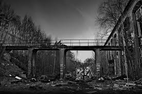 desolation是什么意思