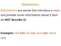 determiner是什么意思