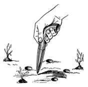 dibble是什么意思