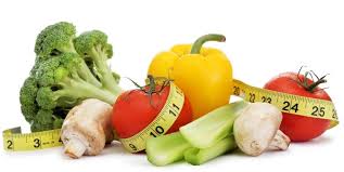 dietetics是什么意思