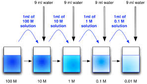 dilution是什么意思