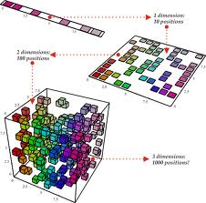 dimensionality是什么意思