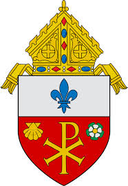 diocese是什么意思