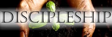 discipleship是什么意思