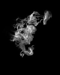 dissipation是什么意思