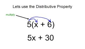 distributive是什么意思