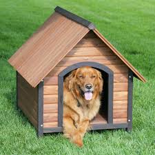 doghouse是什么意思