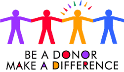 donor是什么意思