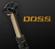 doss是什么意思