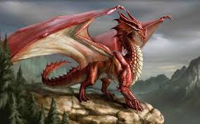 dragon是什么意思