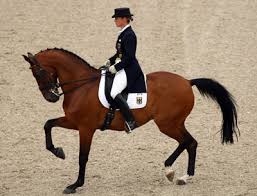 dressage是什么意思