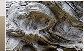 driftwood是什么意思