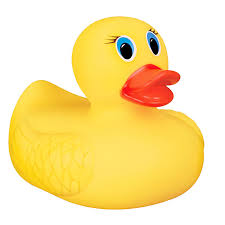 ducky是什么意思