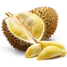 durian是什么意思