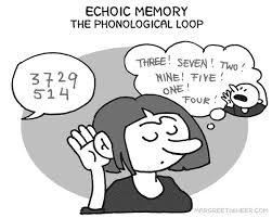 echoic是什么意思