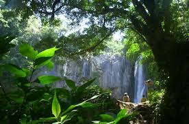 ecotourism是什么意思