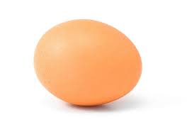 egg是什么意思