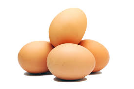 eggs是什么意思