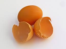 eggshell是什么意思