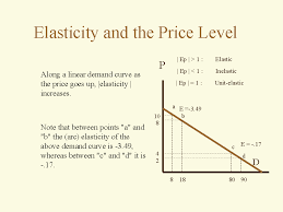 elasticity是什么意思