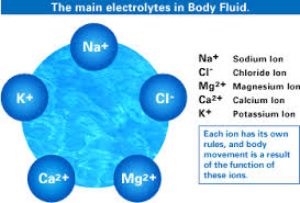 electrolyte是什么意思