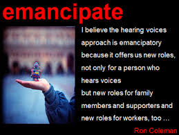 emancipatory是什么意思
