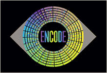 encode是什么意思