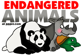 endanger是什么意思