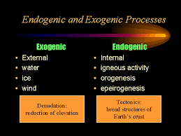 endogenic是什么意思