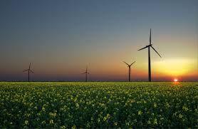 energy是什么意思