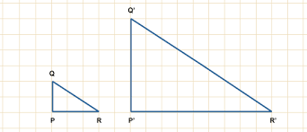 enlargement是什么意思