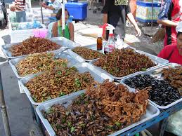 entomophagous是什么意思