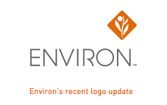 environ是什么意思