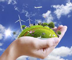 environmental是什么意思