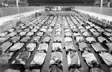 epidemic是什么意思