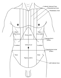 epigastrium是什么意思
