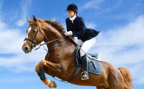 equestrian是什么意思