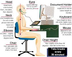 ergonomics是什么意思