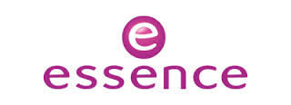 essence是什么意思