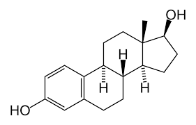 estrogen是什么意思