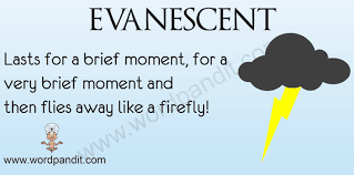 evanescent是什么意思