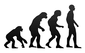 evolution是什么意思