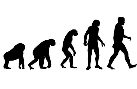 evolutionary是什么意思